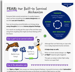 Phobia & Fear CBT Worksheets for Teens | Graded Exposure
